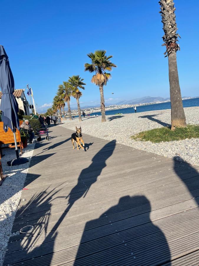 Villeneuve Loubet Plage- Entre Nice Et Cannes Villeneuve-Loubet Exterior foto