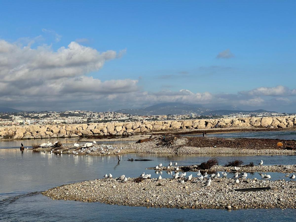Villeneuve Loubet Plage- Entre Nice Et Cannes Villeneuve-Loubet Exterior foto