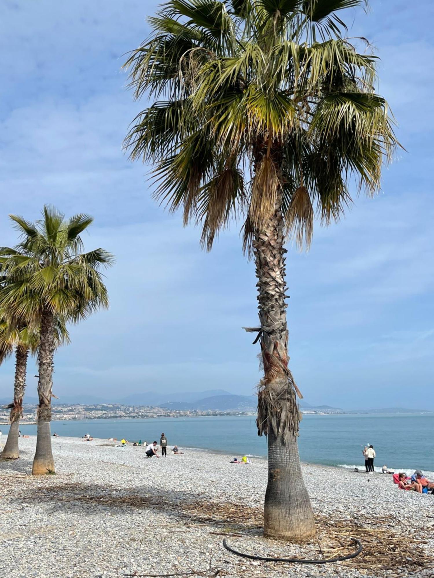 Villeneuve Loubet Plage- Entre Nice Et Cannes Villeneuve-Loubet Exterior foto