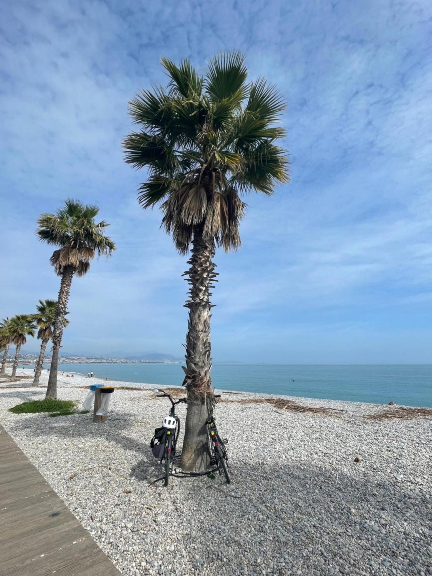 Villeneuve Loubet Plage- Entre Nice Et Cannes Villeneuve-Loubet Exterior foto