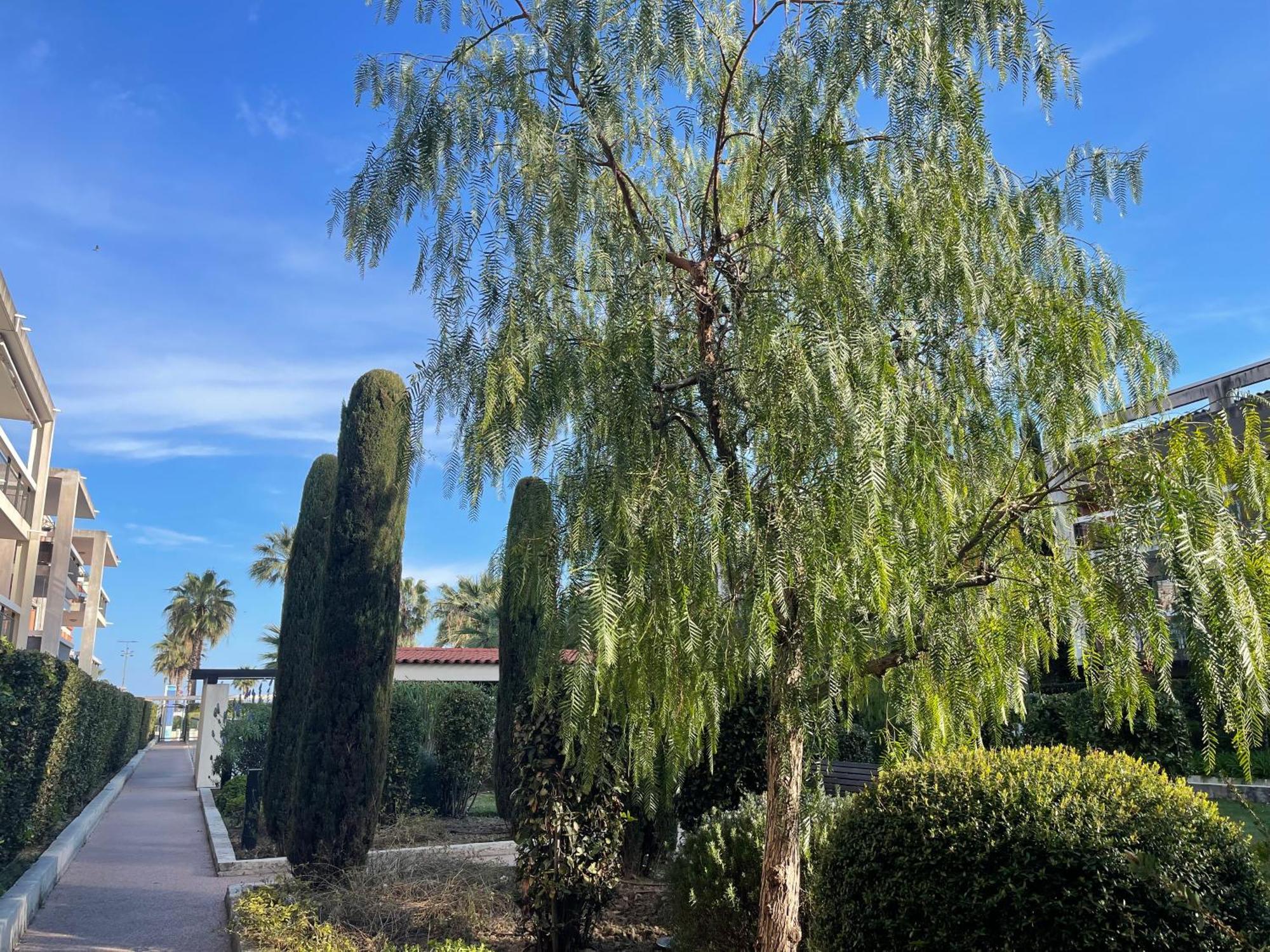 Villeneuve Loubet Plage- Entre Nice Et Cannes Villeneuve-Loubet Exterior foto