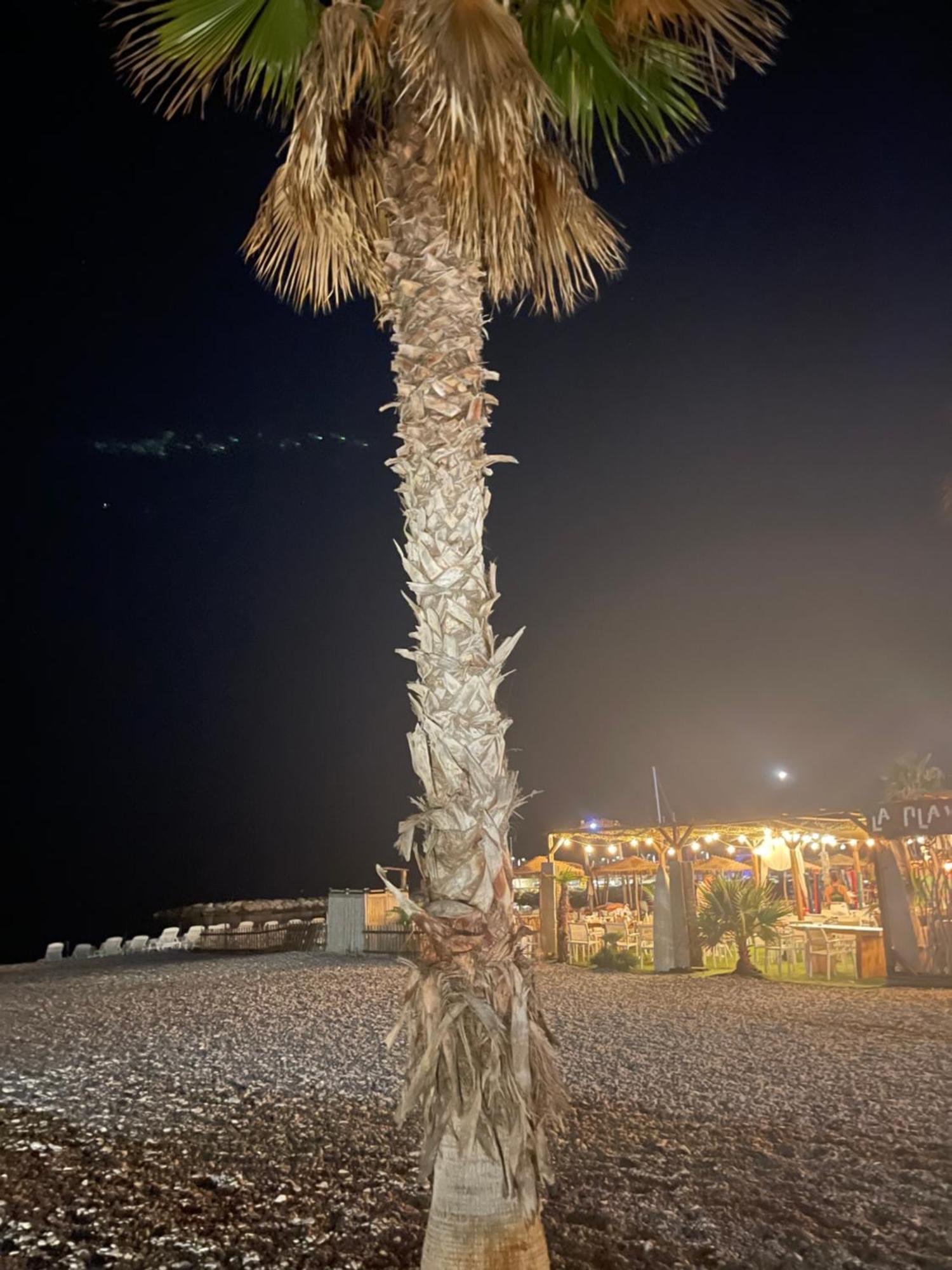 Villeneuve Loubet Plage- Entre Nice Et Cannes Villeneuve-Loubet Exterior foto