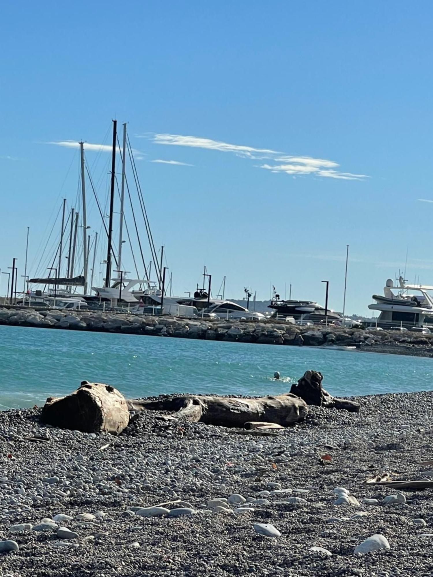 Villeneuve Loubet Plage- Entre Nice Et Cannes Villeneuve-Loubet Exterior foto