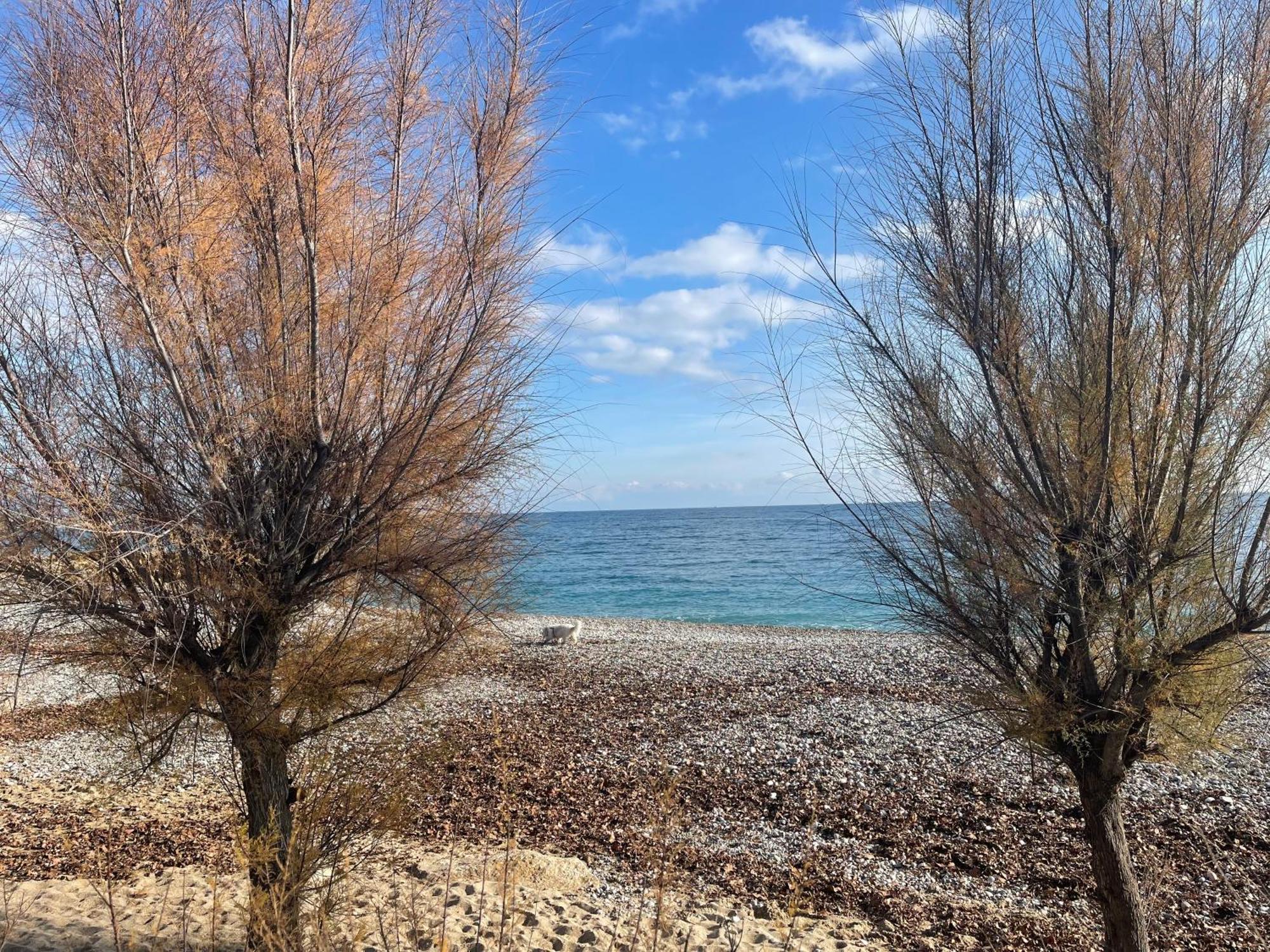 Villeneuve Loubet Plage- Entre Nice Et Cannes Villeneuve-Loubet Exterior foto