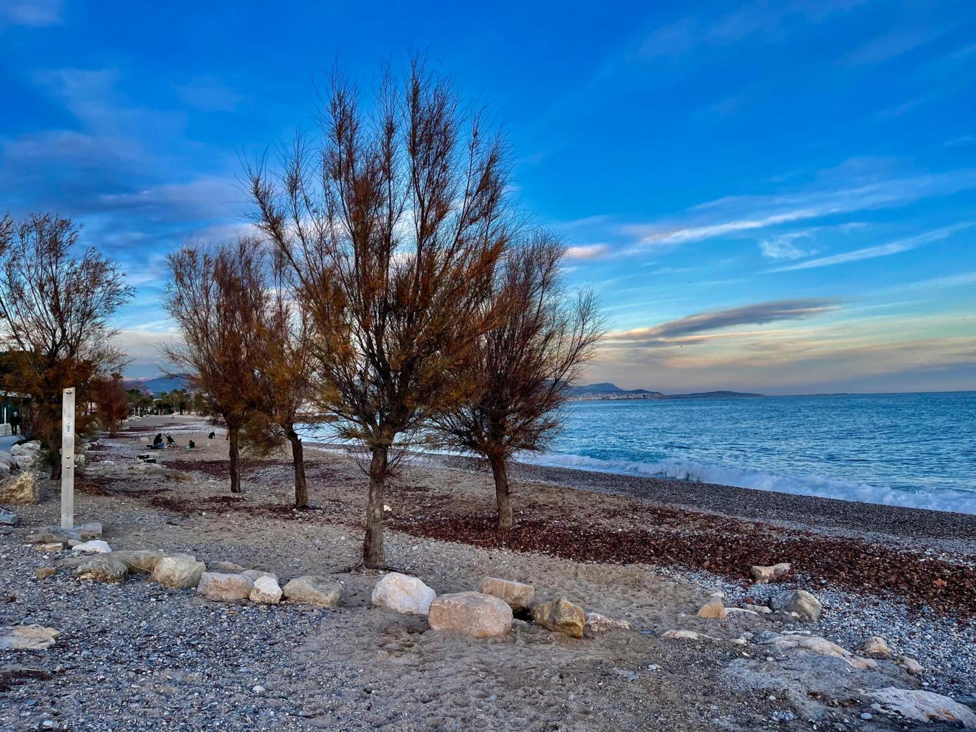 Villeneuve Loubet Plage- Entre Nice Et Cannes Villeneuve-Loubet Exterior foto